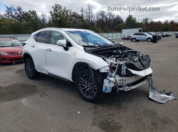 2T2GGCEZ5PC019884 2023 LEXUS NX White Przód prawy