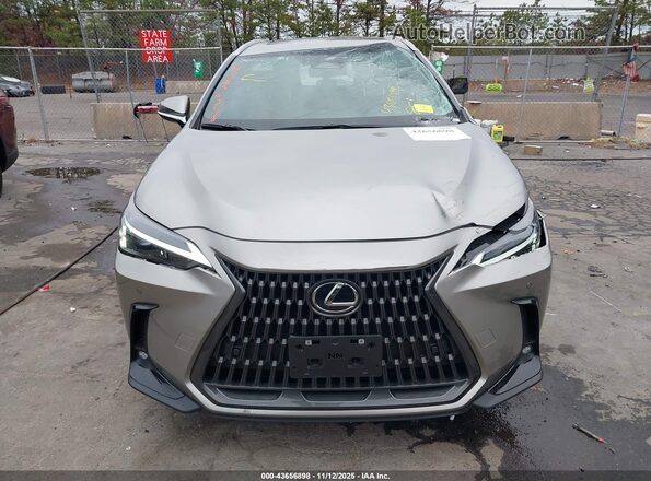 2T2GGCEZ5SC082623 2025 LEXUS NX 350 Gray Rear interior view
