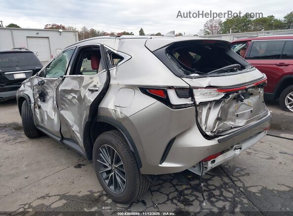 2T2GGCEZ5SC082623 2025 LEXUS NX 350 Gray Front view