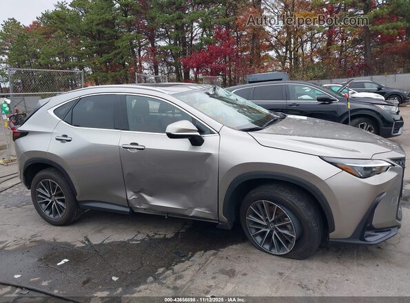 2T2GGCEZ5SC082623 2025 LEXUS NX 350 Gray 360 interior view