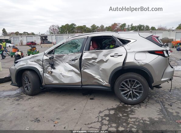 2T2GGCEZ5SC082623 2025 LEXUS NX 350 Gray 