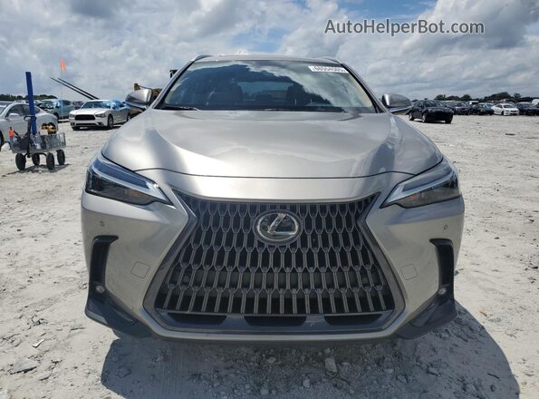 2T2GGCEZ6PC027007 2023 LEXUS NX Gold Вид спереду