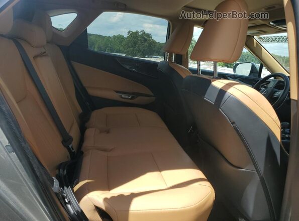 2T2GGCEZ6PC027007 2023 LEXUS NX Gold Вид задньої частини салону
