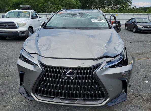 2T2GGCEZ6SC075891 2025 LEXUS NX Gray წინა ხედი