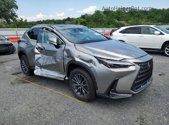 2T2GGCEZ6SC075891 2025 LEXUS NX Gray წინა მარჯვენა