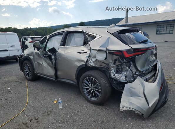 2T2GGCEZ6SC075891 2025 LEXUS NX Gray უკანა მარცხენა