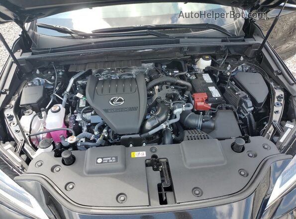 2T2GGCEZ7SC081036 2025 LEXUS NX Black Vista del compartimento del motor