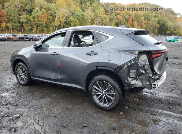 2T2GGCEZ8SC065783 2025 LEXUS NX Gray Rear left