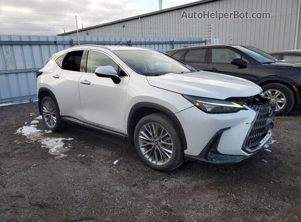 2T2GGCEZXNC005671 2022 LEXUS NX White წინა მარჯვენა