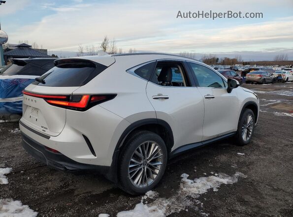 2T2GGCEZXNC005671 2022 LEXUS NX White უკანა მარჯვენა