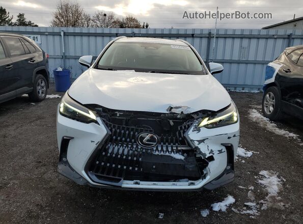 2T2GGCEZXNC005671 2022 LEXUS NX White წინა ხედი