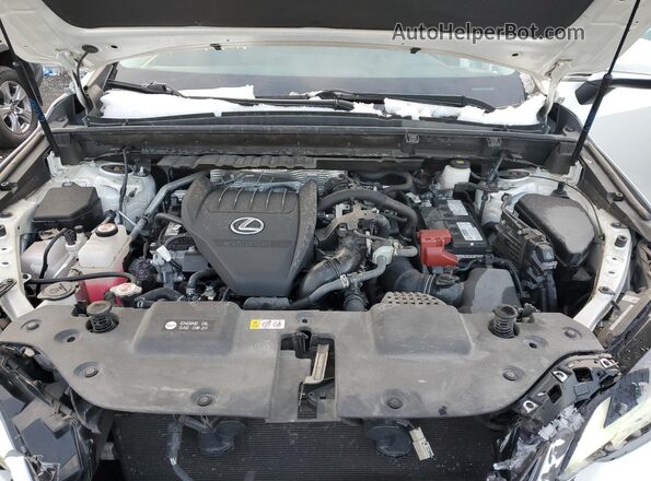 2T2GGCEZXNC005671 2022 LEXUS NX White უკანა სალონის ხედი