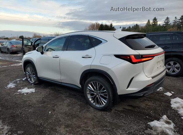 2T2GGCEZXNC005671 2022 LEXUS NX White უკანა მარცხენა
