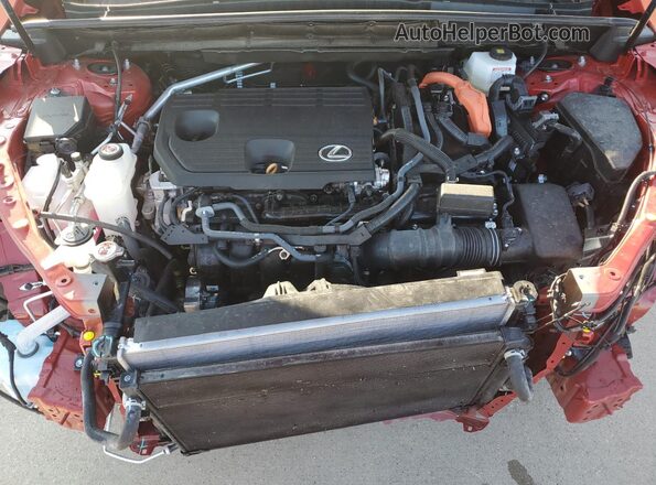 2T2GKCEZXSC032606 2025 LEXUS NX Red Widok komory silnika