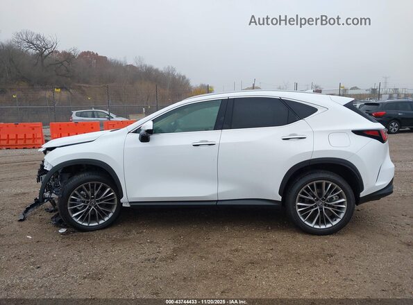 2T2HGCEZ0TC102086 2026 LEXUS NX White Widok wnętrza 360 stopni