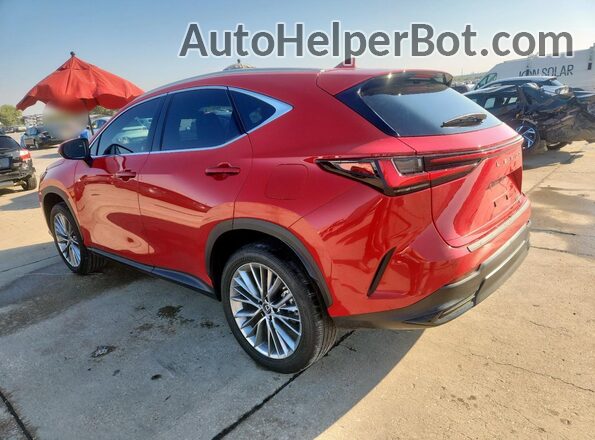 2T2HGCEZ5PC026029 2023 LEXUS NX Красный Задняя левая четверть