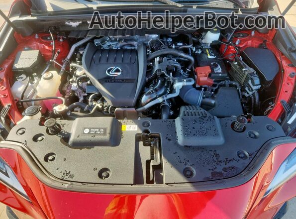 2T2HGCEZ5PC026029 2023 LEXUS NX Красный Вид подкапотного пространства