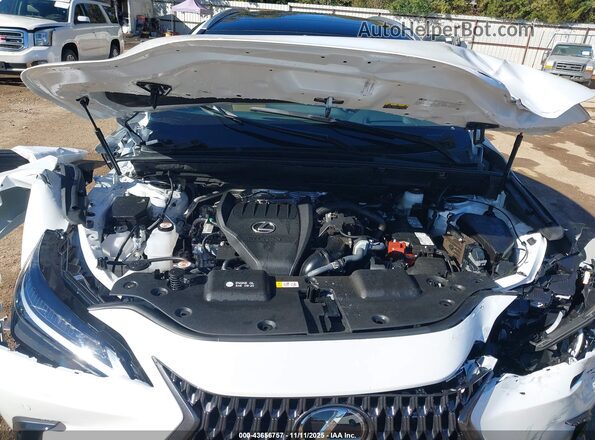 2T2HGCEZ9SC085299 2025 LEXUS NX 350 White Rear view