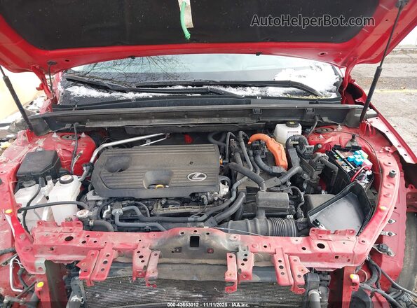 2T2HKCEZ2NC007272 2022 LEXUS NX 350H Красный Вид сзади