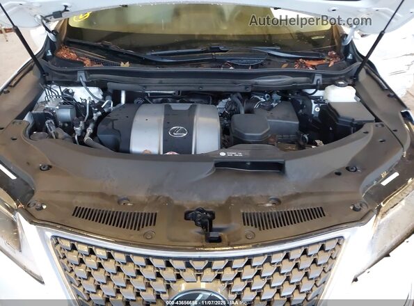 2T2HZMDA6LC234295 2020 LEXUS RX 350 White Հետևի տեսք