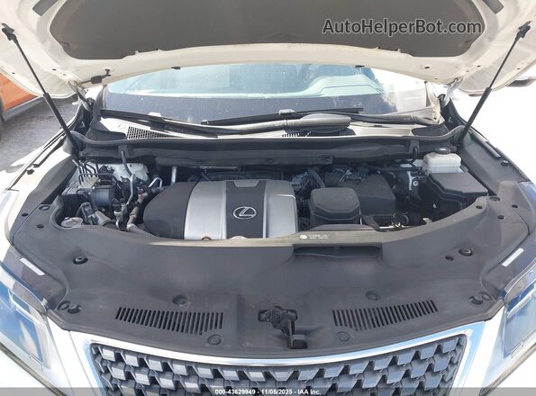 2T2HZMDA8LC216719 2020 LEXUS RX 350 White Հետևի տեսք