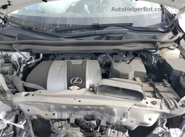 2T2HZMDA8LC248182 2020 LEXUS RX White Շարժիչի բաժամունքի տեսք