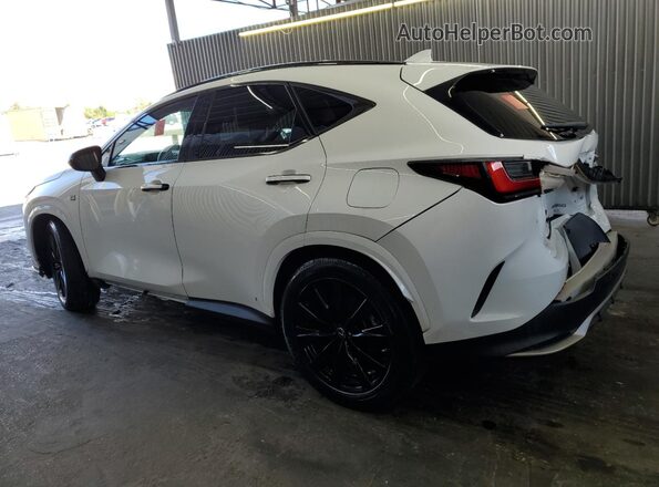 2T2KGCEZ5NC015079 2022 LEXUS NX White 