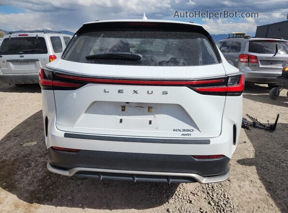 2T2KGCEZ5RC034110 2024 LEXUS NX Белый Вид сзади