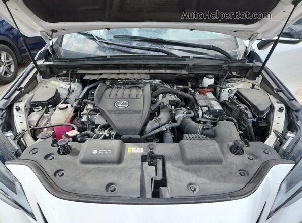 2T2KGCEZ5RC034110 2024 LEXUS NX Белый Вид задней части салона