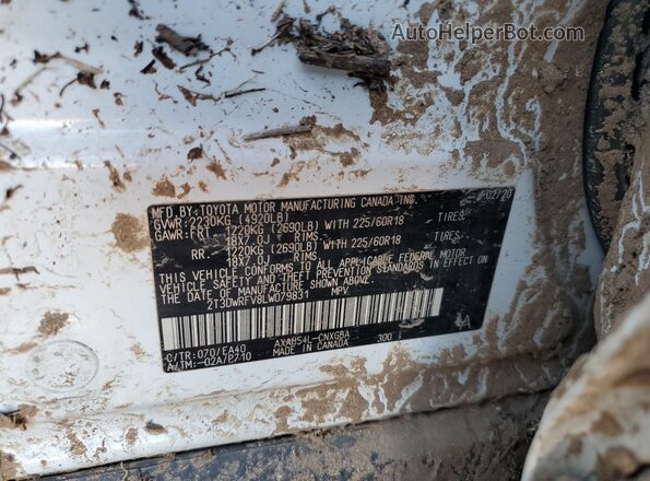 2T3DWRFV8LW079831 2020 TOYOTA LIMITED White VIN sticker view