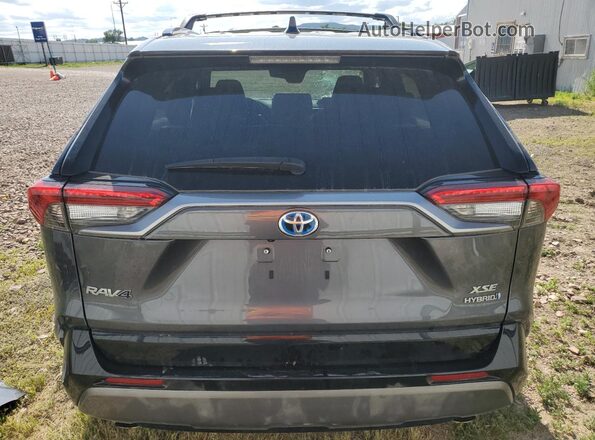 2T3EWRFV2LW098573 2020 TOYOTA RAV4 Gray Հետևի տեսք