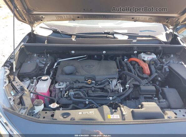 2T3EWRFV3LW061838 2020 TOYOTA RAV4 HYBRID Gray Հետևի տեսք