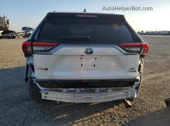 2T3EWRFV5LW069567 2020 TOYOTA RAV4 White Հետևի տեսք