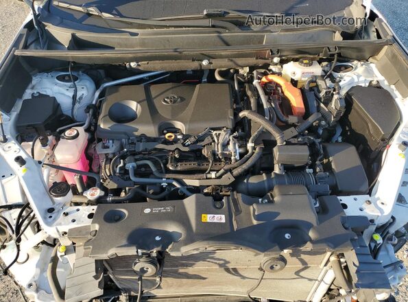 2T3EWRFV5LW069567 2020 TOYOTA RAV4 White Շարժիչի բաժամունքի տեսք