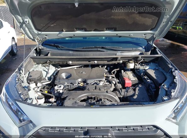 2T3J1RFV2LC099981 2020 TOYOTA RAV4 Turquoise Rear view