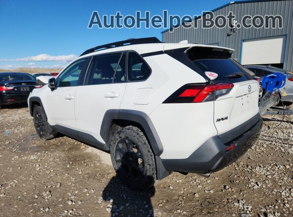 2T3J1RFV3LC094613 2020 TOYOTA RAV4 White Հետևի ձախ