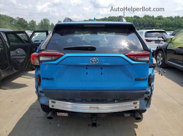 2T3J1RFV4LC098024 2020 TOYOTA RAV4 Blue Rear view