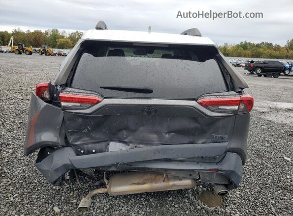2T3J1RFV6LC106589 2020 TOYOTA RAV4 Gray Հետևի տեսք