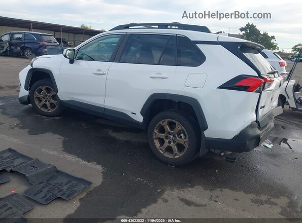 2T3UWRFV6PW176631 2023 TOYOTA RAV4 HYBRID White უკანა მარცხენა