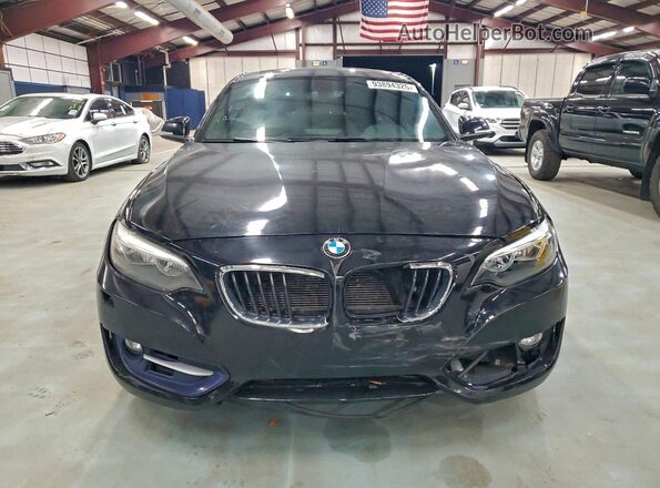 WBA1G9C51GV599786 2016 BMW 2 SERIES Черный Вид сзади