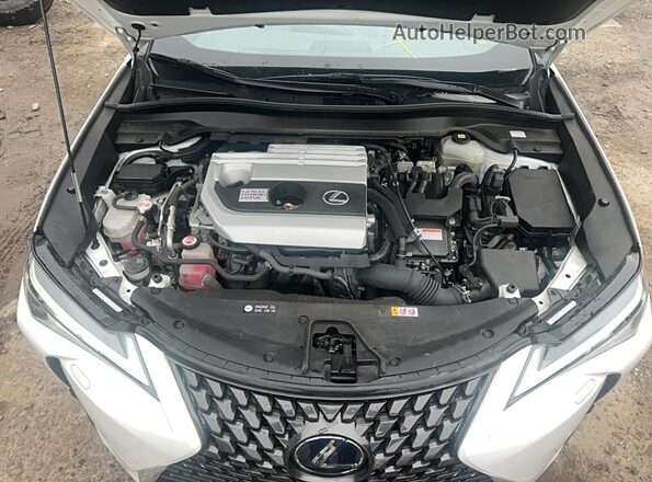 JTHP9JBH0M2048569 2021 LEXUS UX 250H Белый Вид панели приборов