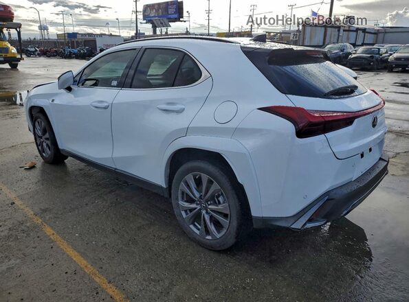 JTHB6JBH6P2150773 2023 LEXUS UX Белый Задняя правая четверть