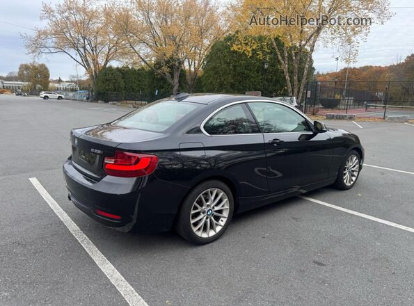 WBA1G9C52GV599148 2016 BMW 2 SERIES Black Вид спереду