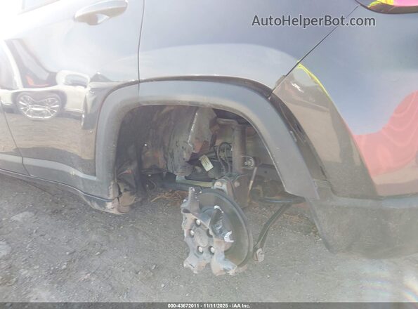 3C4NJDBN9RT592873 2024 JEEP COMPASS Gray 