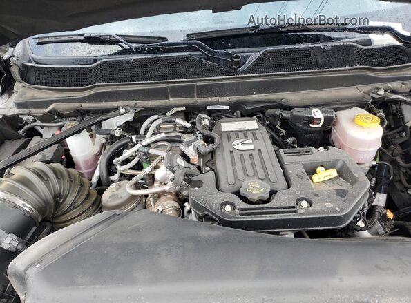 3C63R5CLXSG504504 2025 RAM 2500 Gray Вид задньої частини салону