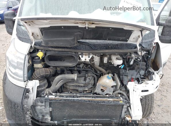 3C6LRVDG3ME508345 2021 RAM PROMASTER 2500 White Հետևի տեսք