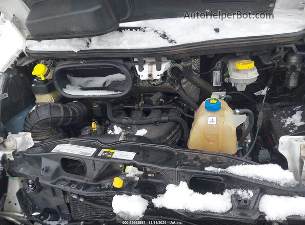3C6LRVDG7ME517646 2021 RAM PROMASTER 2500 White Հետևի տեսք