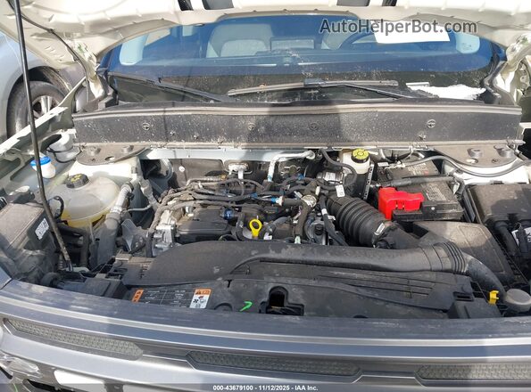 3FMCR9B68RRE83268 2024 FORD BRONCO SPORT Cream Vista trasera