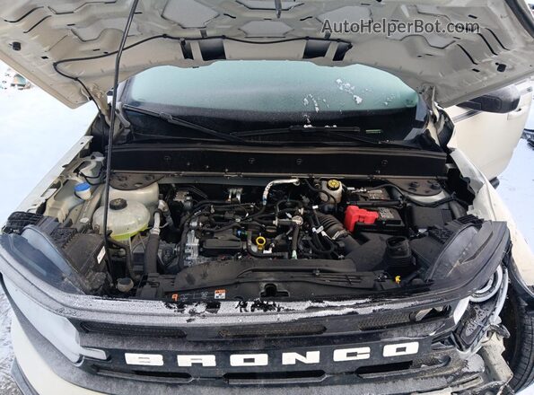 3FMCR9C67RRF41840 2024 FORD BRONCO Кремовый Вид задней части салона