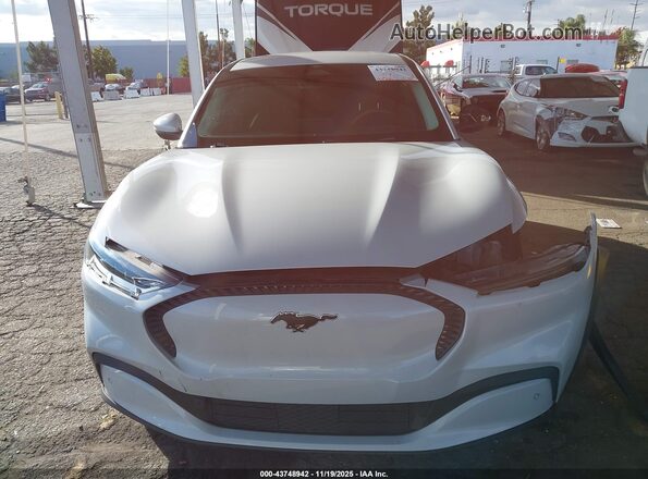 3FMTK1RMXMMA49465 2021 FORD MUSTANG MACH-E Gray Вид задньої частини салону
